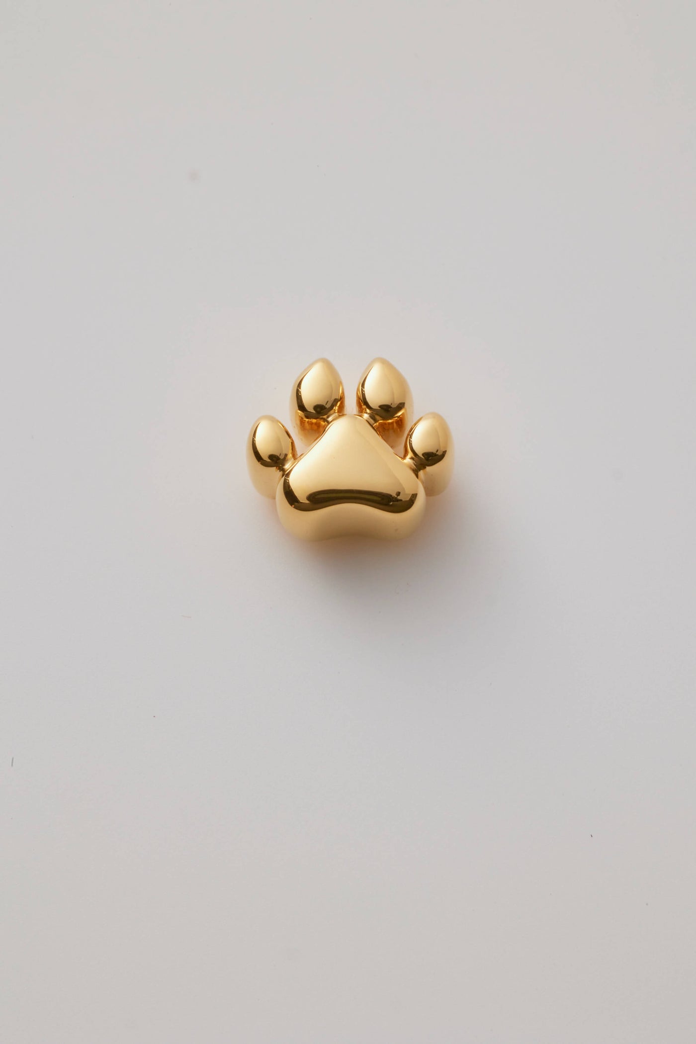 Ashes Large Dog Paw Charm