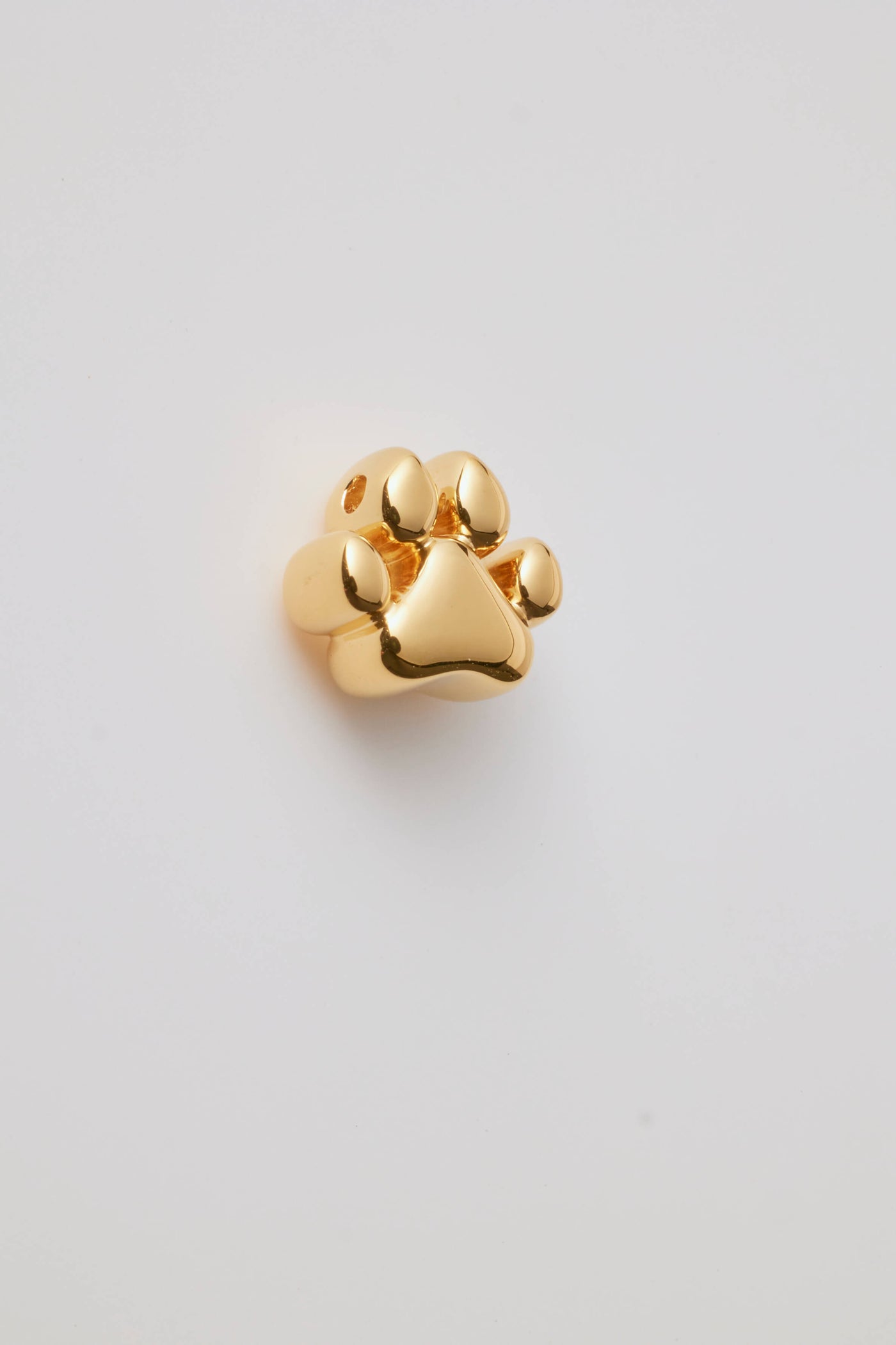 Ashes Large Dog Paw Charm